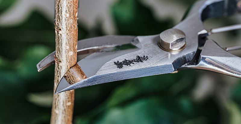 Header_DICTUM_Garten_Schere_mob_800x414