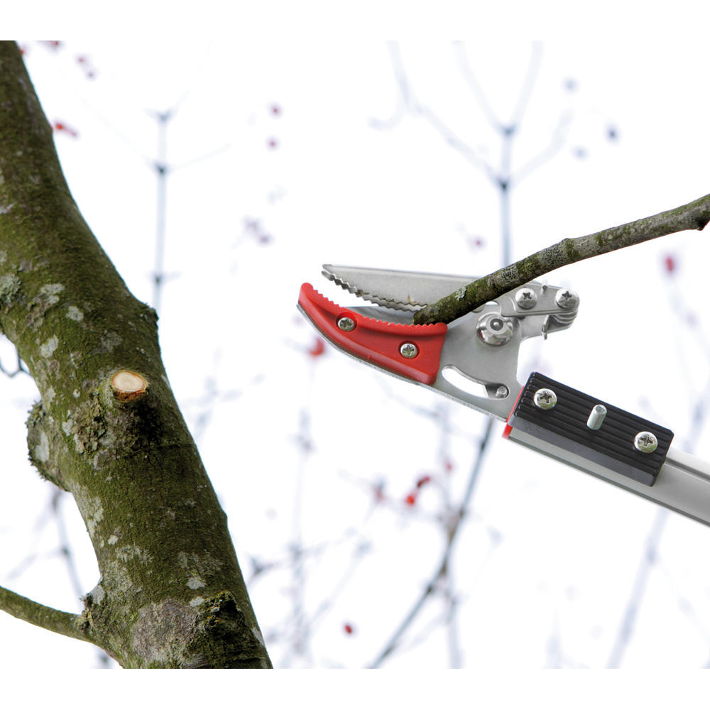 Sécateur télescopique Barnel® Ultra Reach®, longueur 1,25- 2 m