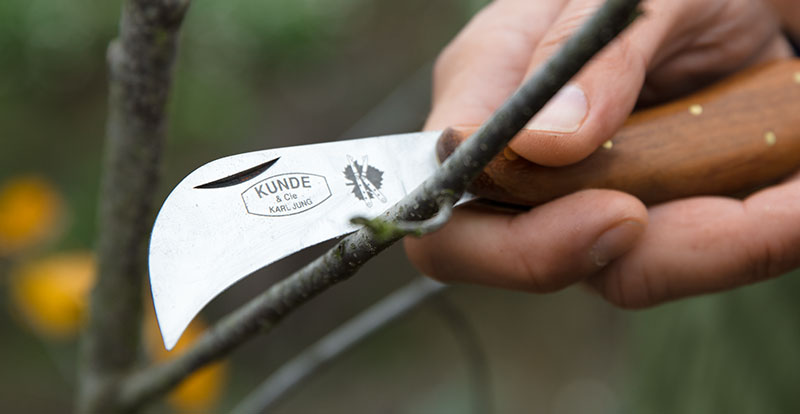 Header_DICTUM_Gartenmesser_mob_800x414