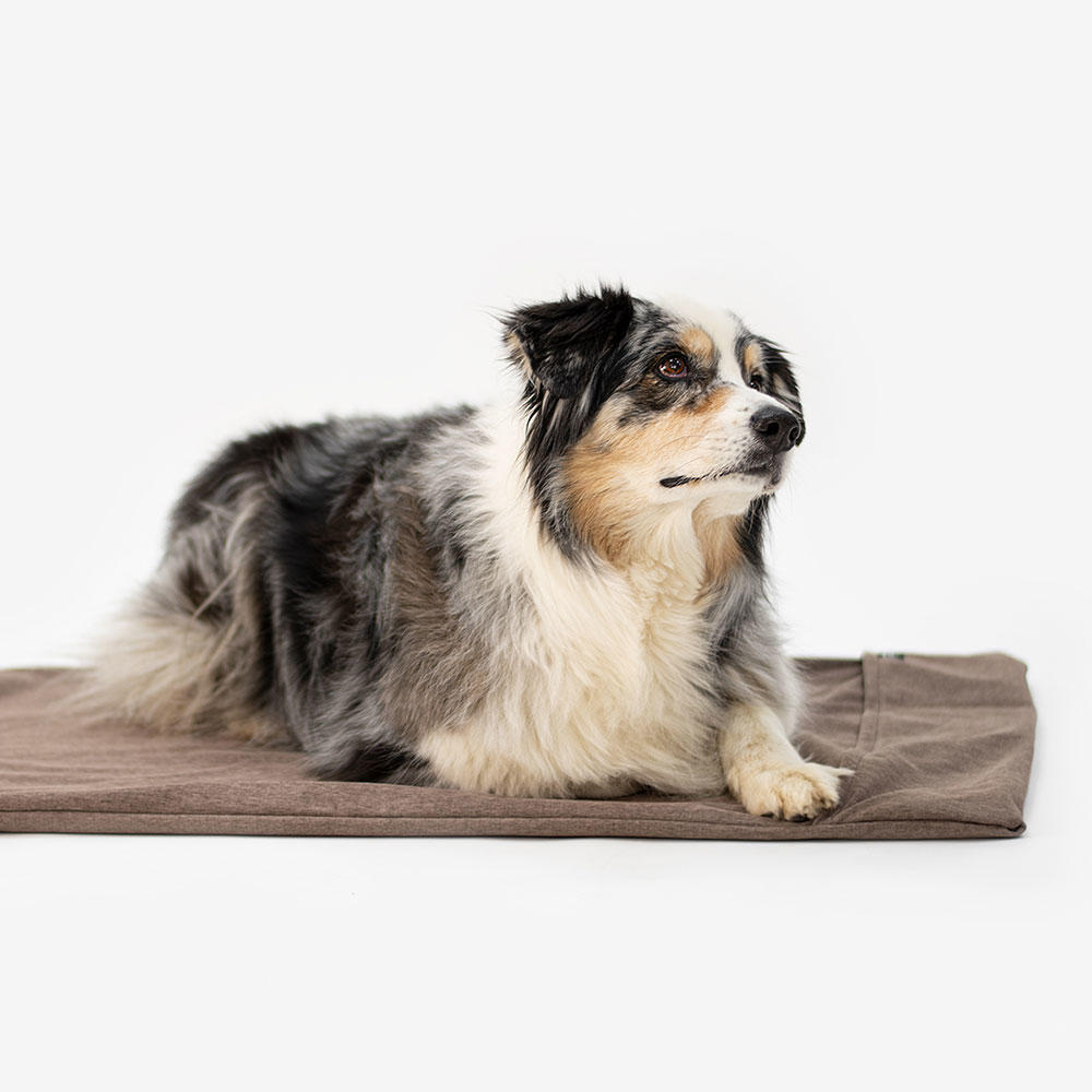 Tapis de transport pour chien Easy Travel Pad, marron
