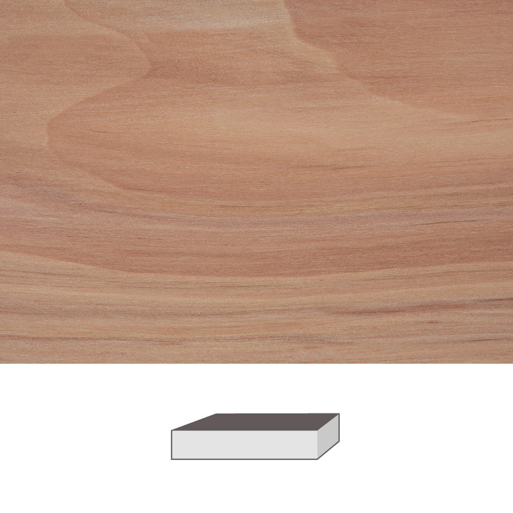 Apple, 150 x 40 x 40 mm