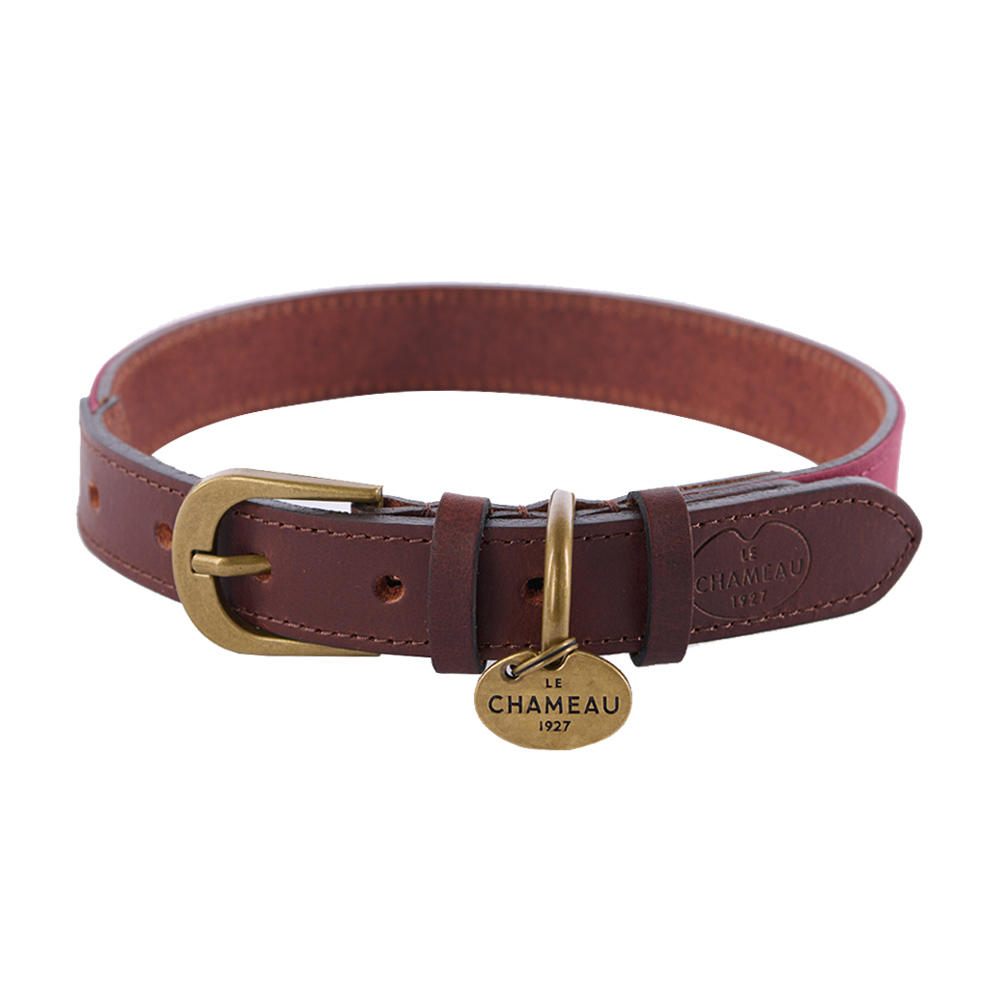 Le Chameau Dog Collar, Leather/Canvas, Vert Chameau, Size L