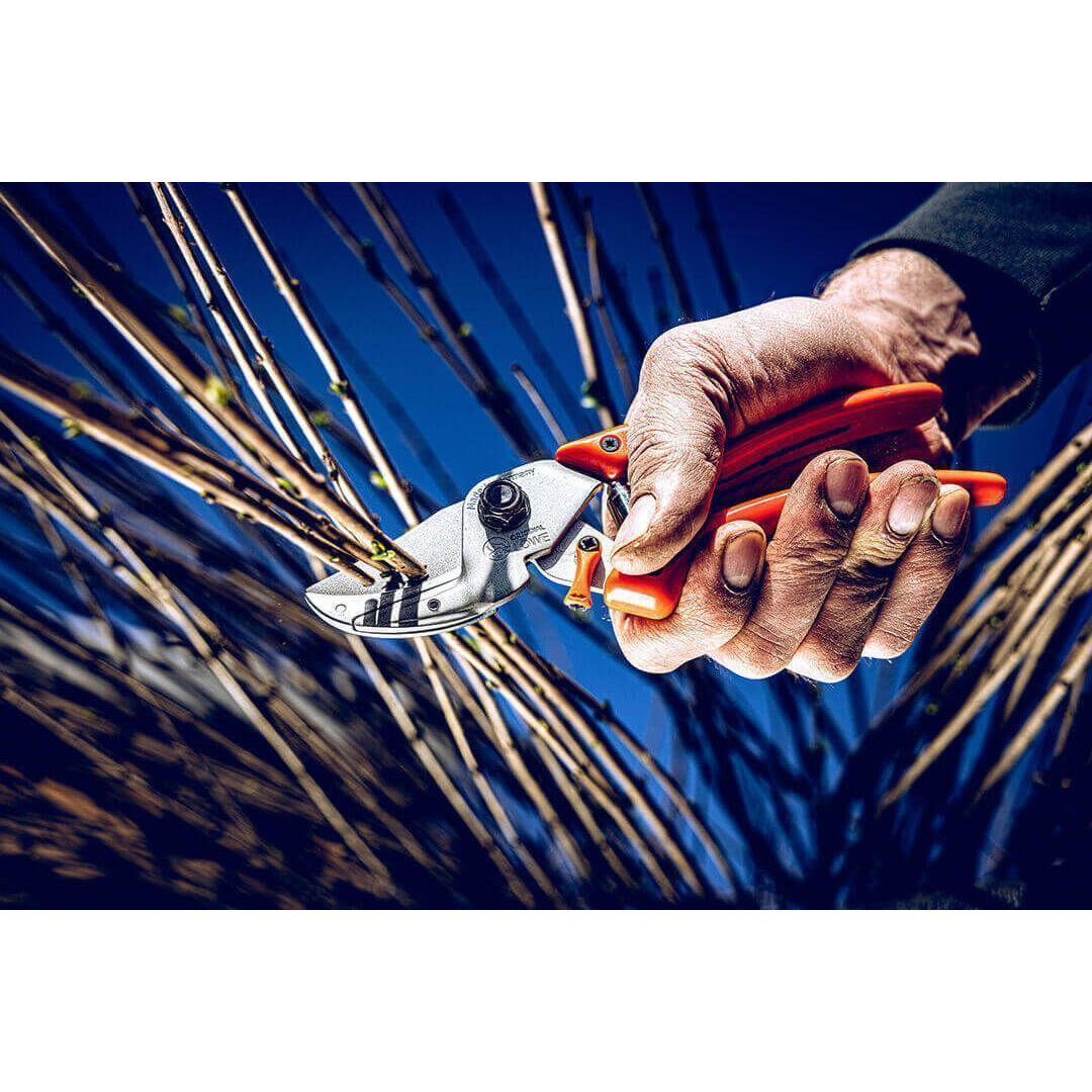 Löwe® 8 Amboss-Schere, mit gebogener Klinge Löwe® 8 Amboss-Schere, mit gebogener Klinge