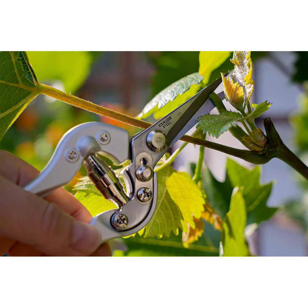 Trimming and Flower Shears