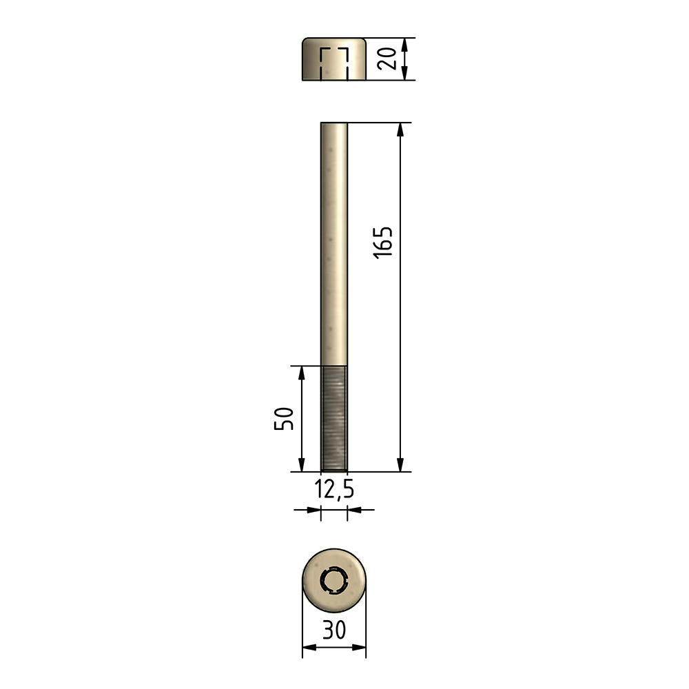 Holzschraube, Ahorn, Gewinde Ø 12,5 mm