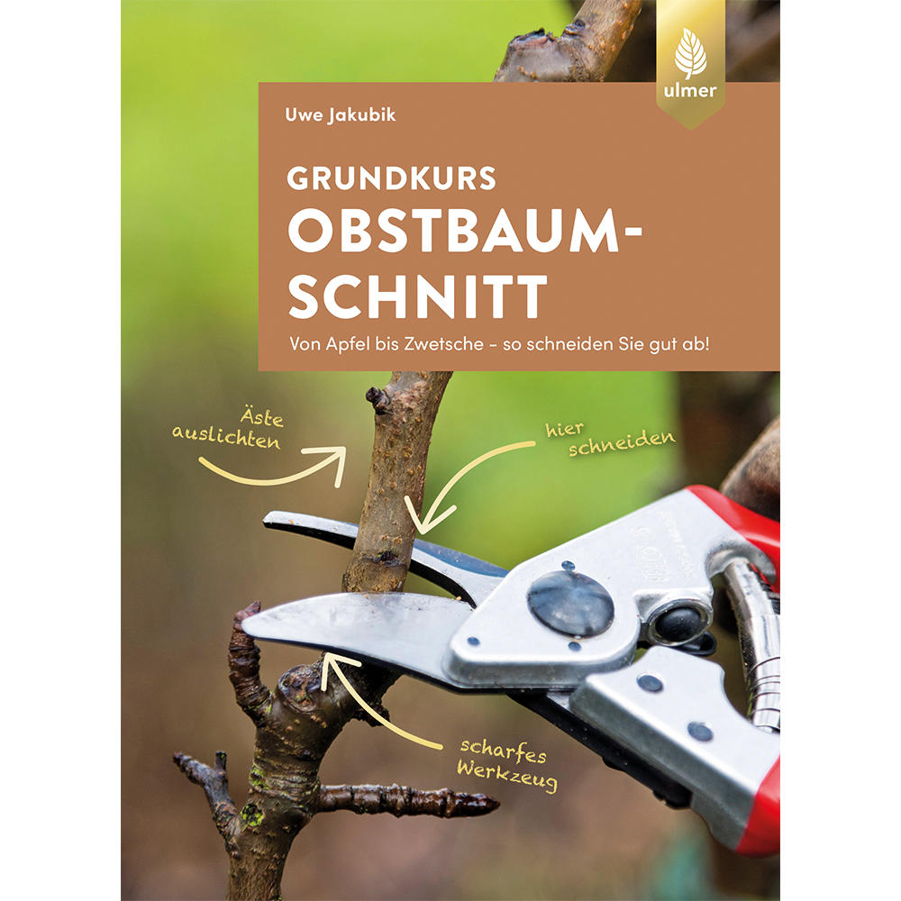 Grundkurs Obstbaumschnitt