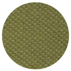 Verde oliva chiaro