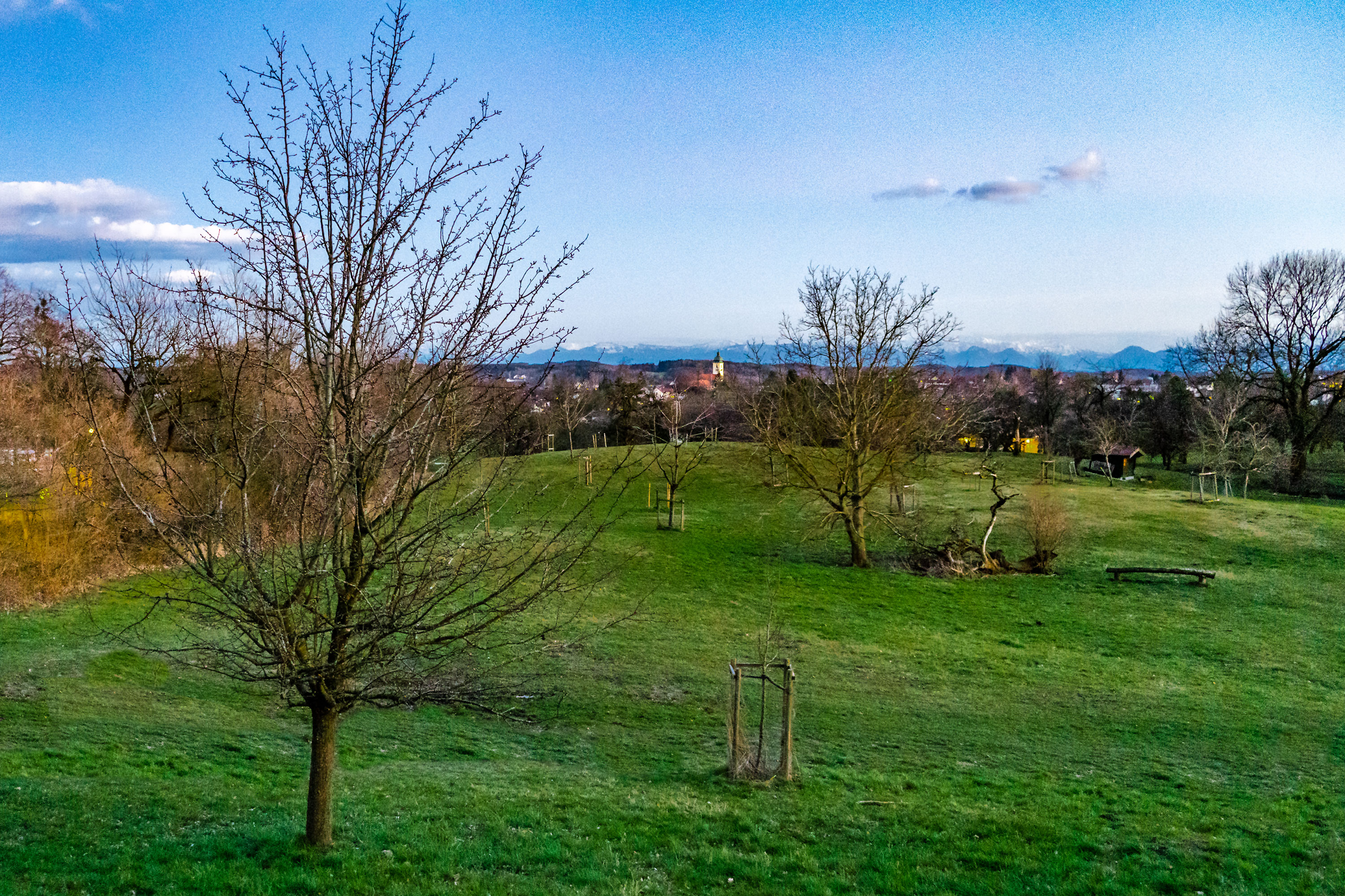 DSC09944_obstbaume-pano_HR DSC09944_obstbaume-pano_HR