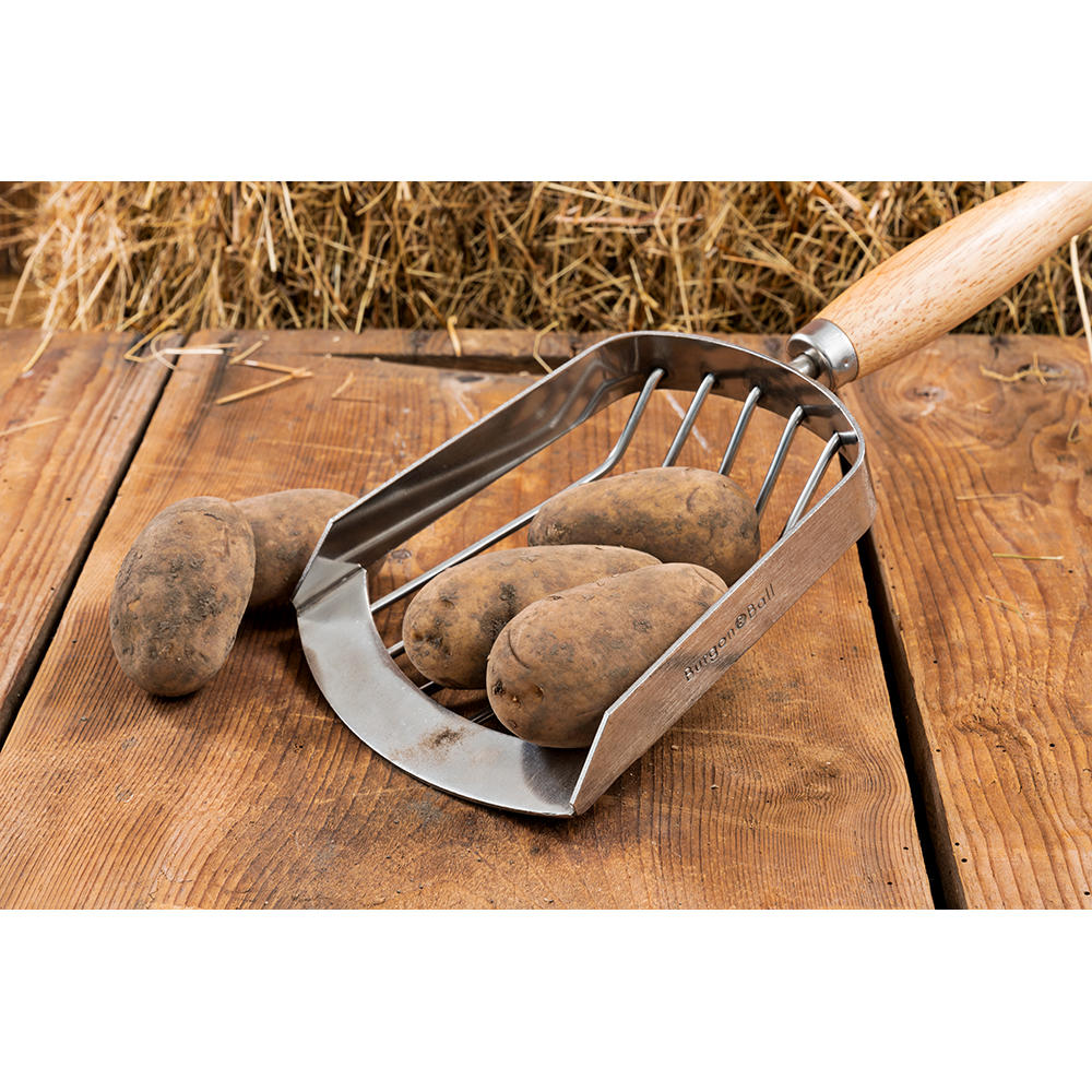 Burgon & Ball® Potato Harvesting Scoop, Stainless Steel