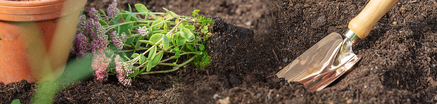 Header_DICTUM_Garten_1400x333 Header_DICTUM_Garten_1400x333