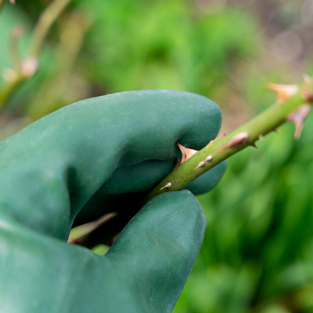 Guanti da giardinaggio antispina per rose, caucciù naturale, taglia M