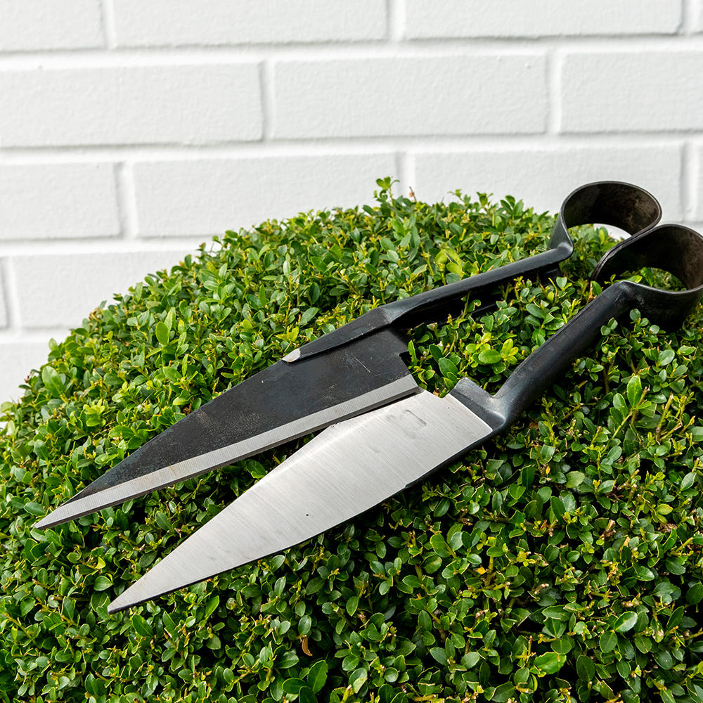 Sheep Shears