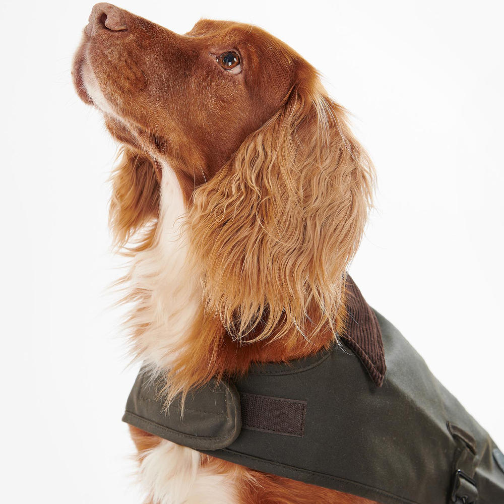 Barbour Waxed Dog Coat, Olive, Size L olive L (back length