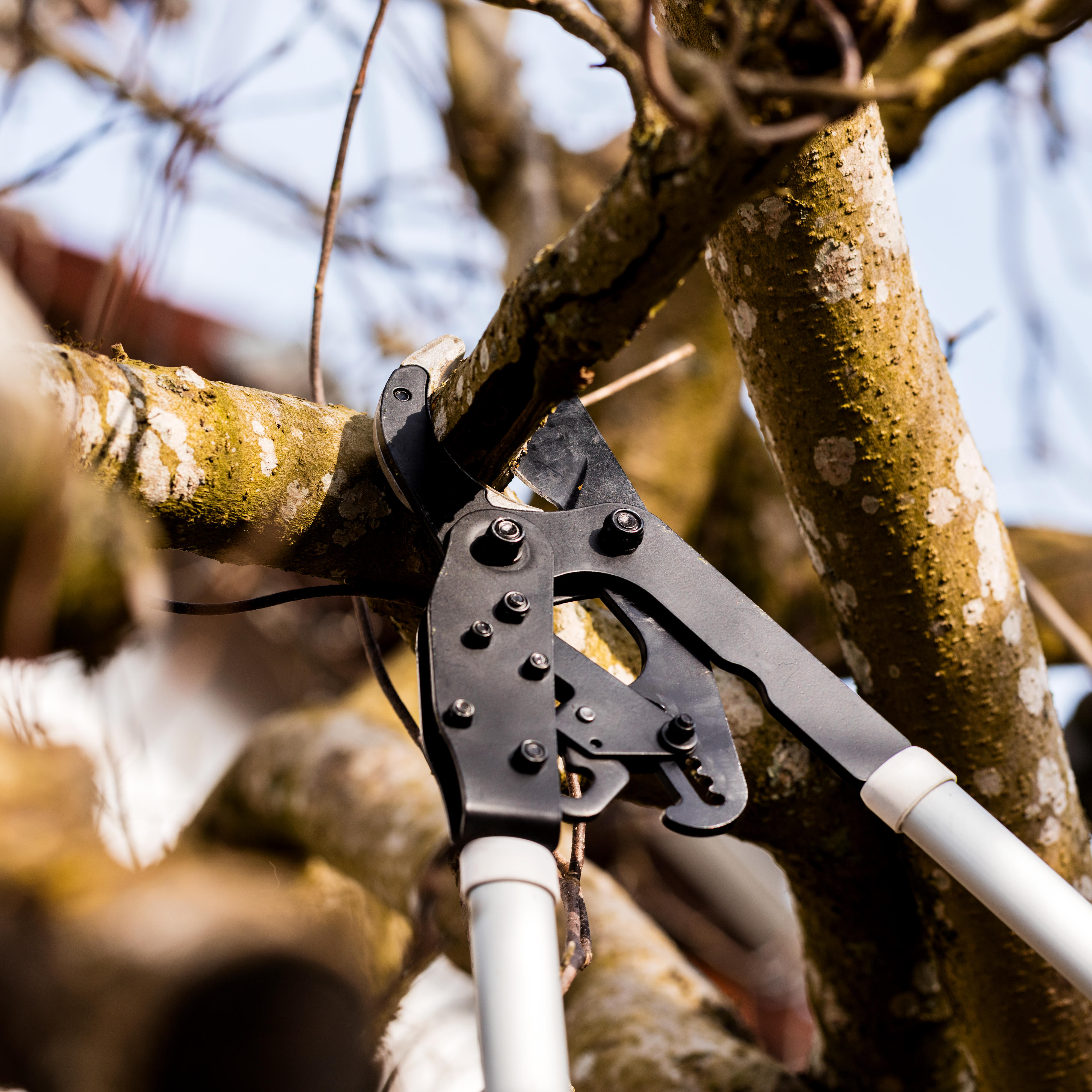 Barnel® Telescopic Ratchet Shears