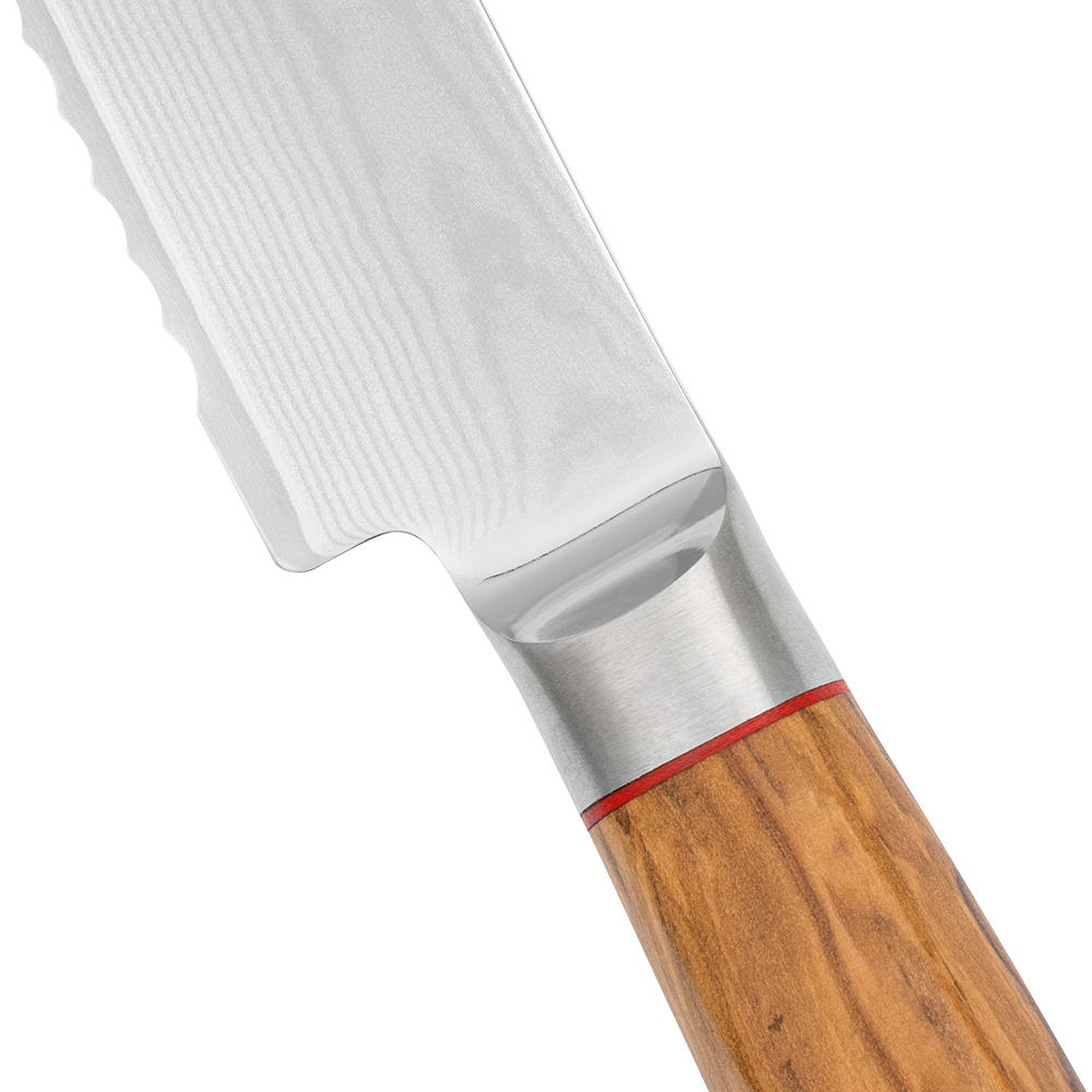 Serie di coltelli DICTUM® »Oliva«, coltello da pane