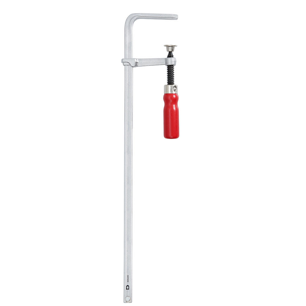 Serre-joint à vis tout en acier DICTUM® pour rails de guidage, ouverture 300 mm