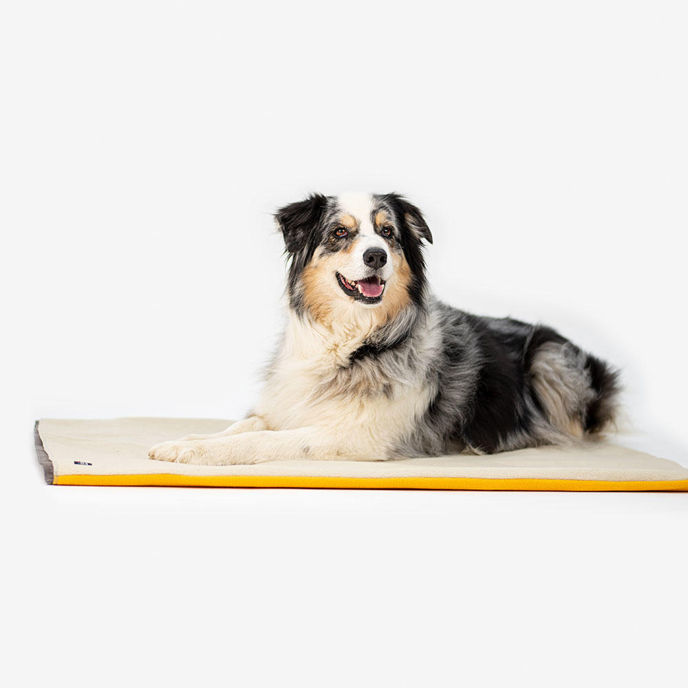 Tapis de transport pour chien Easy Travel Pad, marron