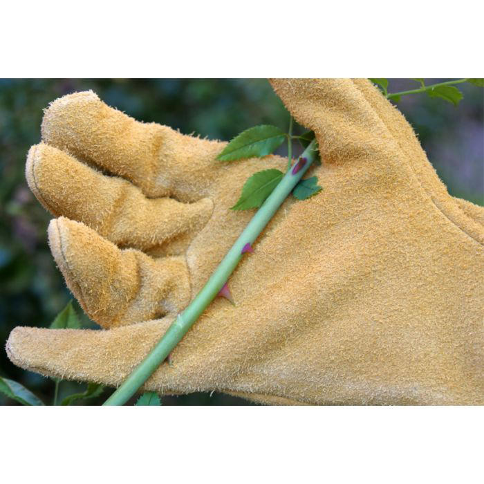 Rostaing® Gartenhandschuhe »Roncier«, Größe 7