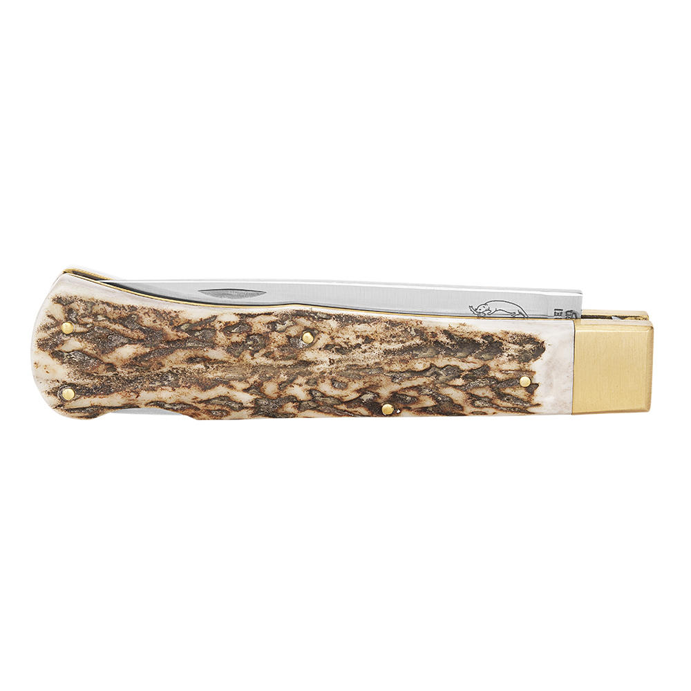 Otter® Folding Knife, Staghorn