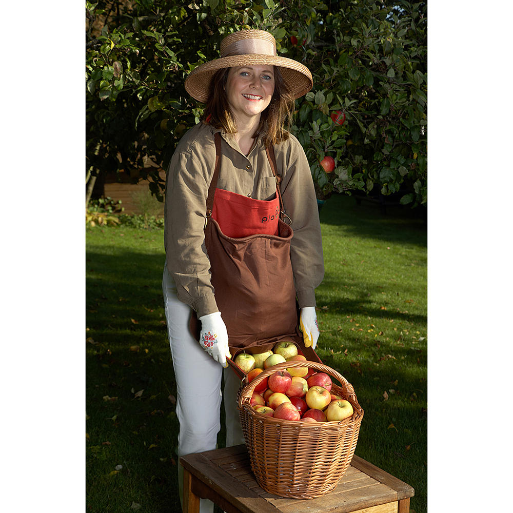 Harvesting Apron, Cotton