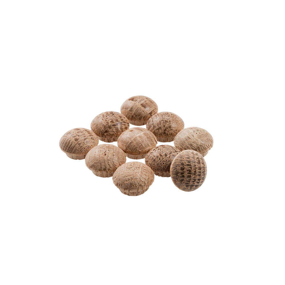 Bouchons en bois cache-vis, chêne, Ø 10 mm, 10 pièces