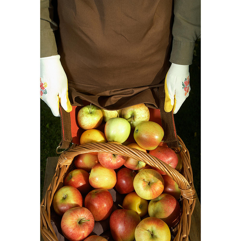 Harvesting Apron, Cotton