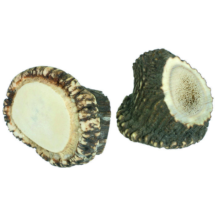 Bois de cerf, couronne