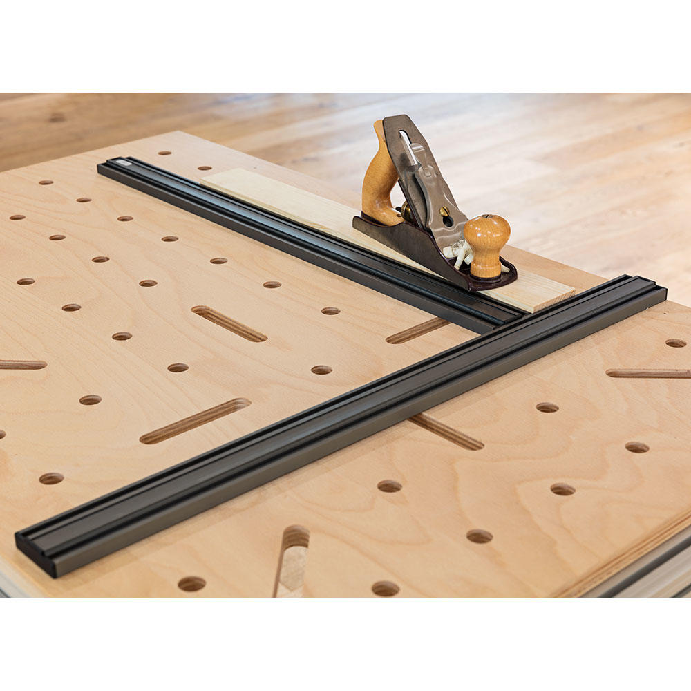 Tassello per cave con perni di fissaggio 20 mm per binari guida univ. DICTUM®