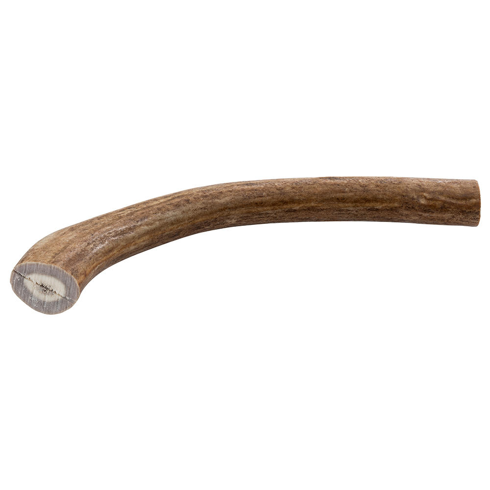 Segment de bois de renne, 131-180 g