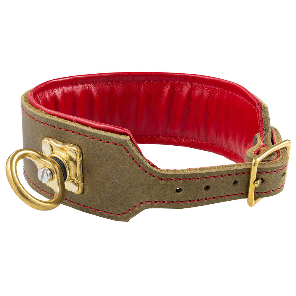 Collare da traccia »The GunDog Affair«, 50 mm, taglia XXL