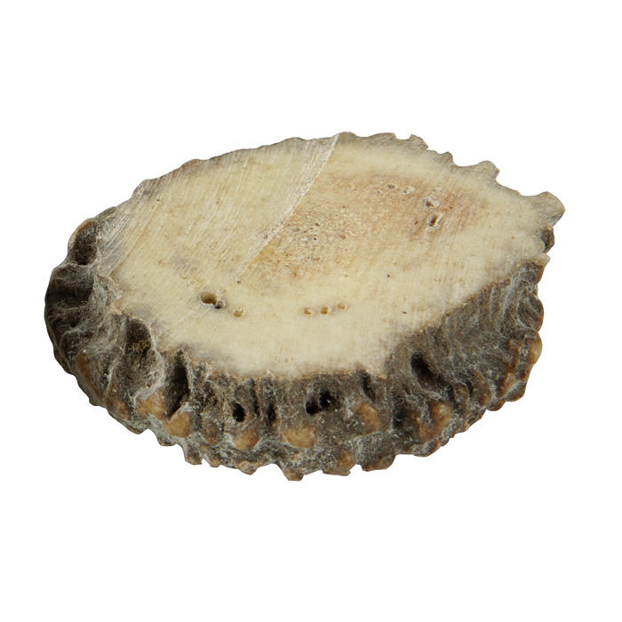 Stag Burr