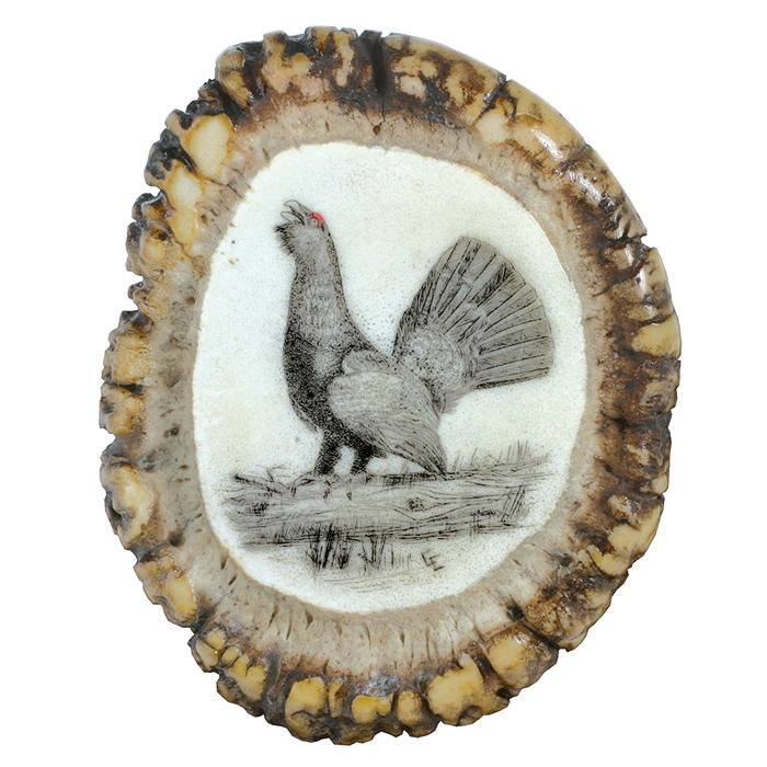 Bois de cerf, couronne