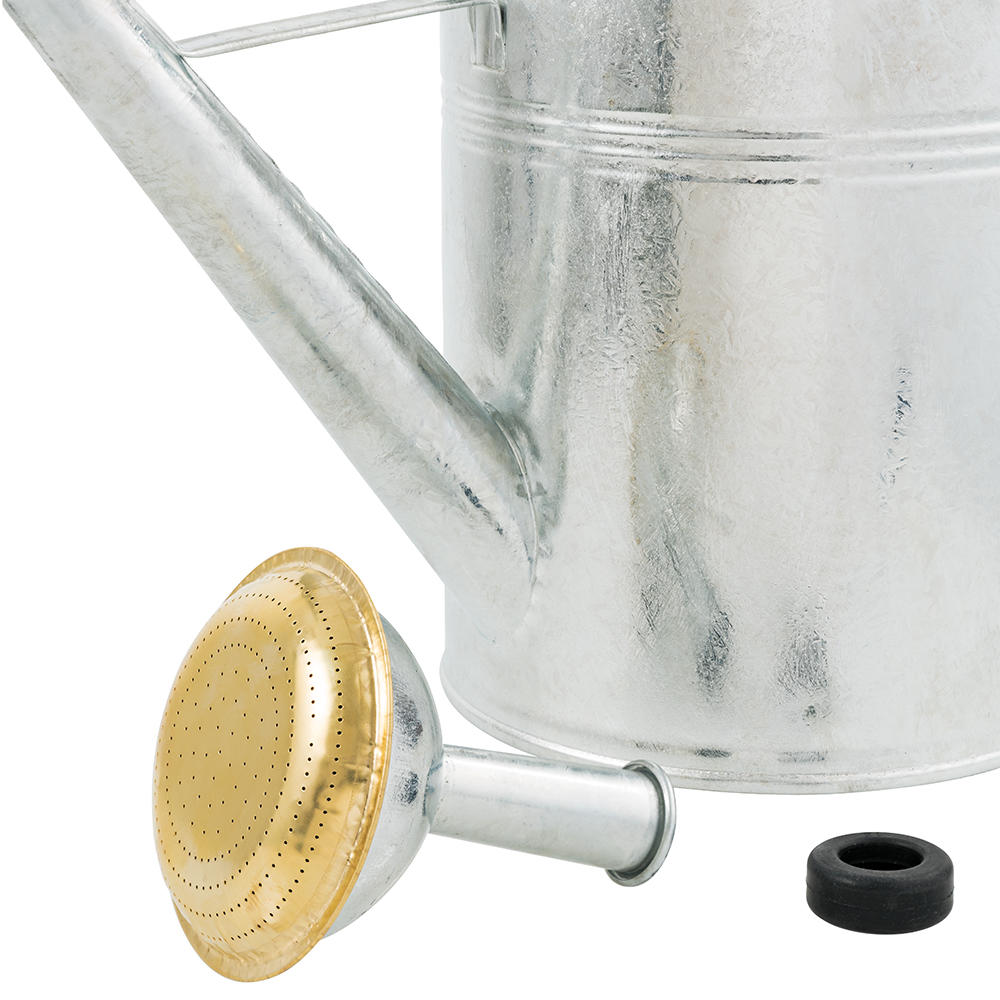 Round Watering Can with Wooden Handle, 9 l, Galvanised
