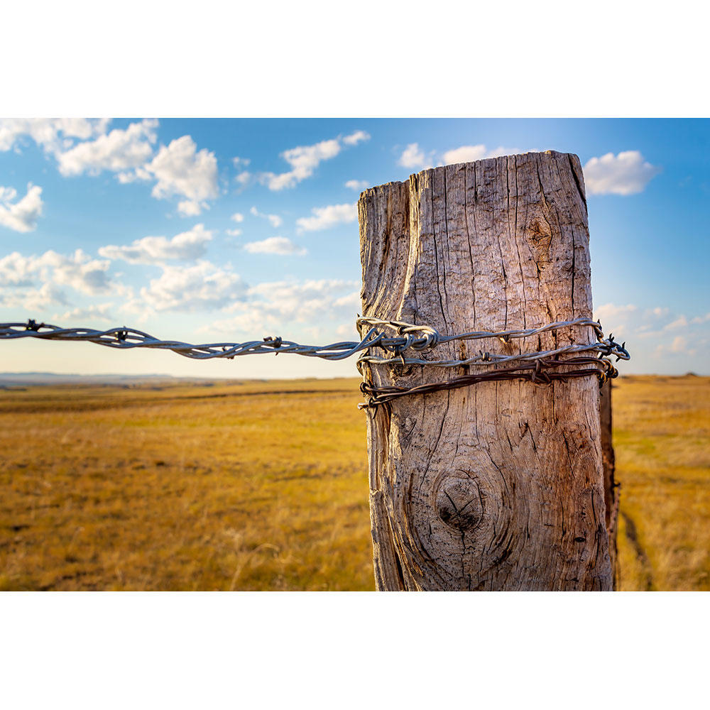 Jarrah, Fence Post Cuts, approx. 25 cm