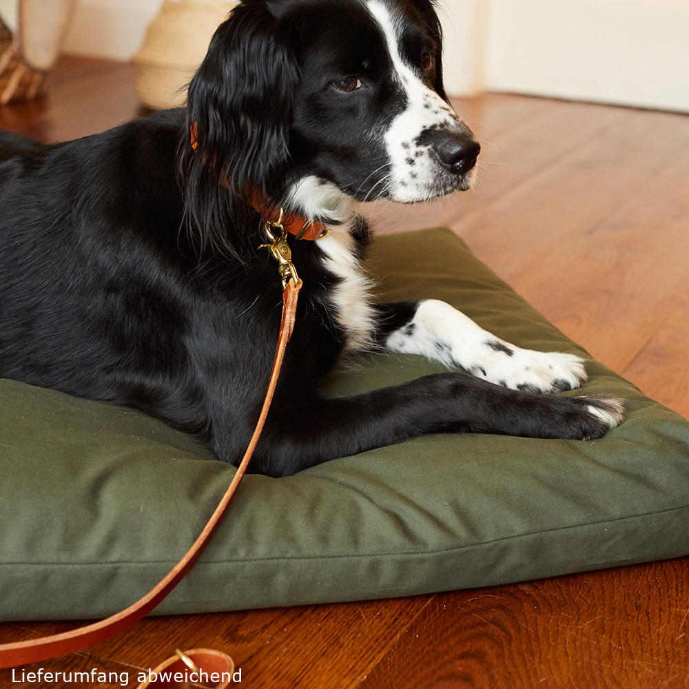 Laisse de chien Helen Wells » Classic «, cognac, 80 cm 