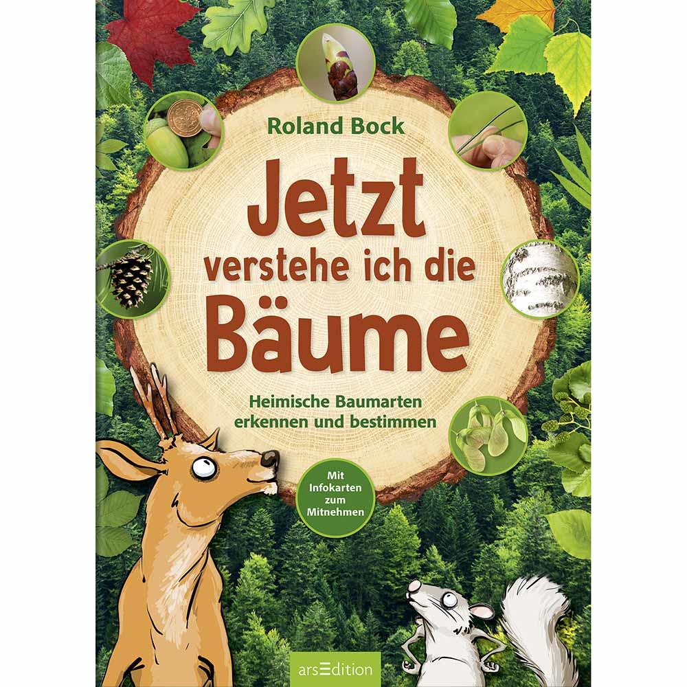 Jetzt verstehe ich die Bäume