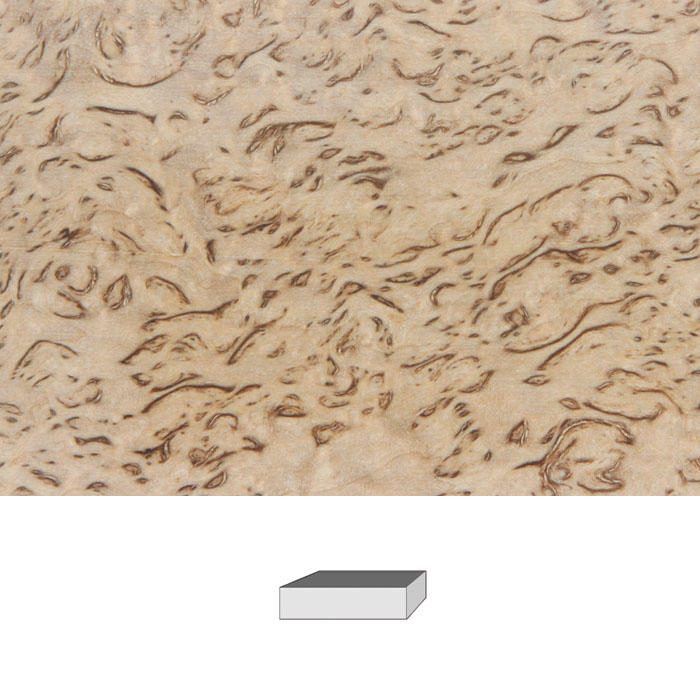 Maserbirke, Premium-Qualität, 120 x 40 x 30 mm