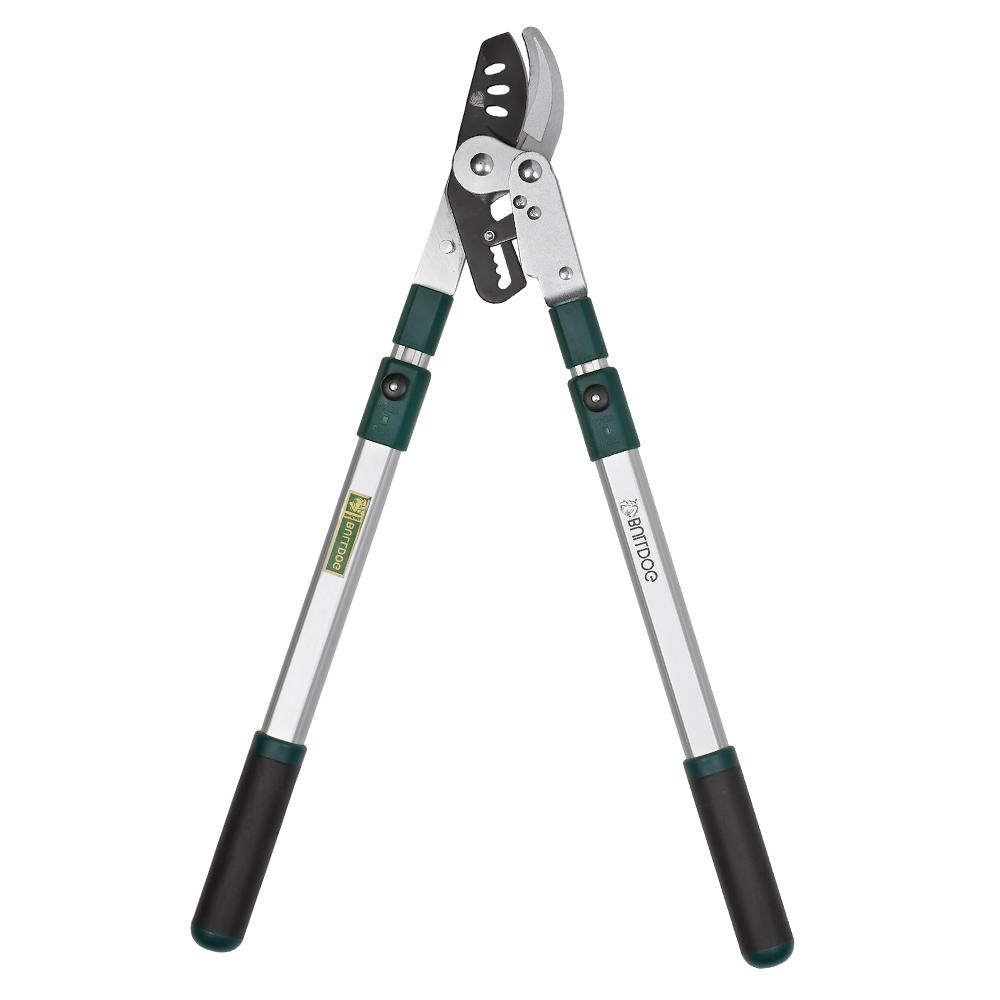 Telescopic Ratchet Loppers