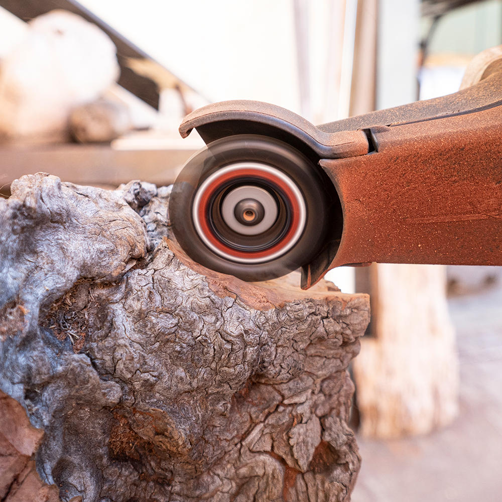 Disque de fraisage Arbortech™ MINI PRO