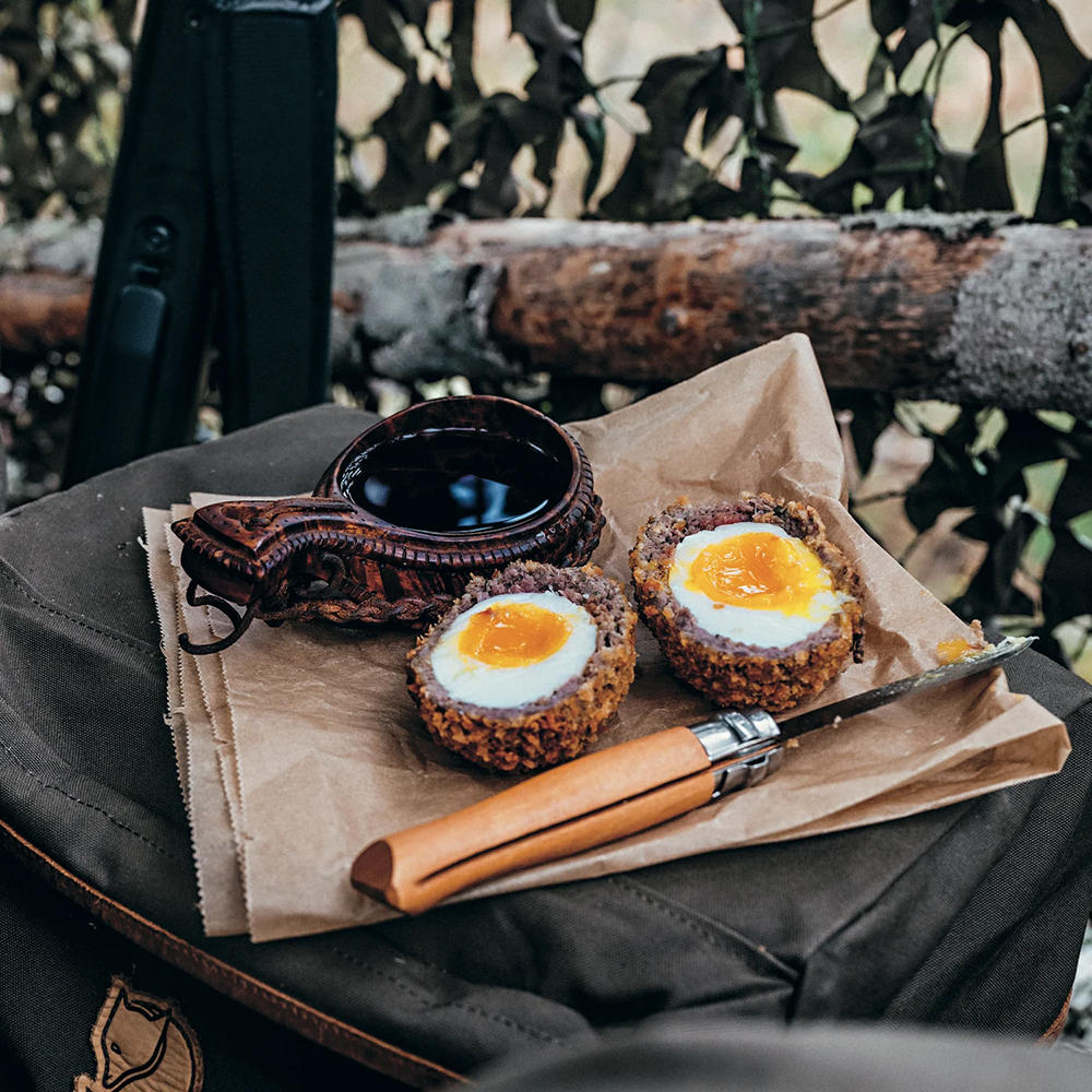 Wildküche - Einfache und schmackhafte Rezepte für das Beste aus Wald und Feld
