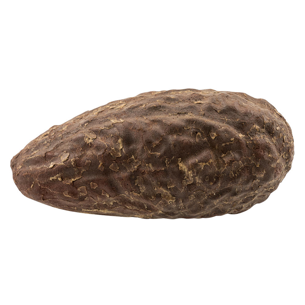 Thika Nut, South Africa