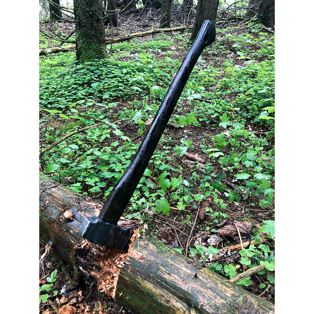 Ascia DICTUM® Bushman, Black Edition