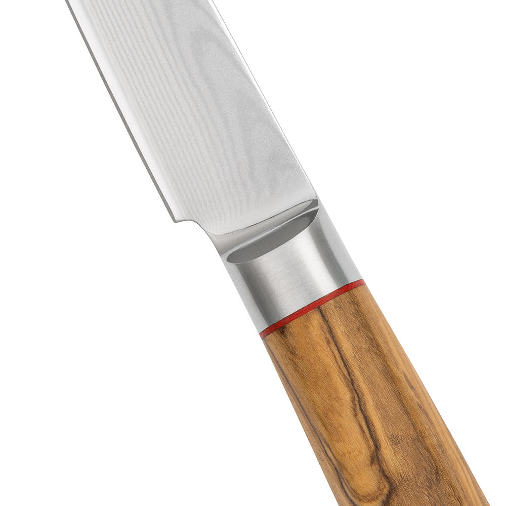 DICTUM® »Olive« Steak and Table Knives, 2-piece Set