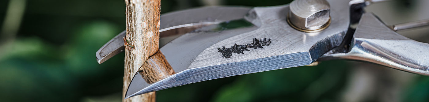 Header_DICTUM_Garten_Schere_1400x333