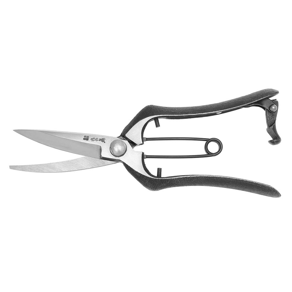 Sécateur à élaguer