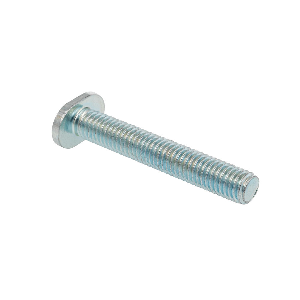 T-Schrauben M6 x 50 mm, 10 Stück