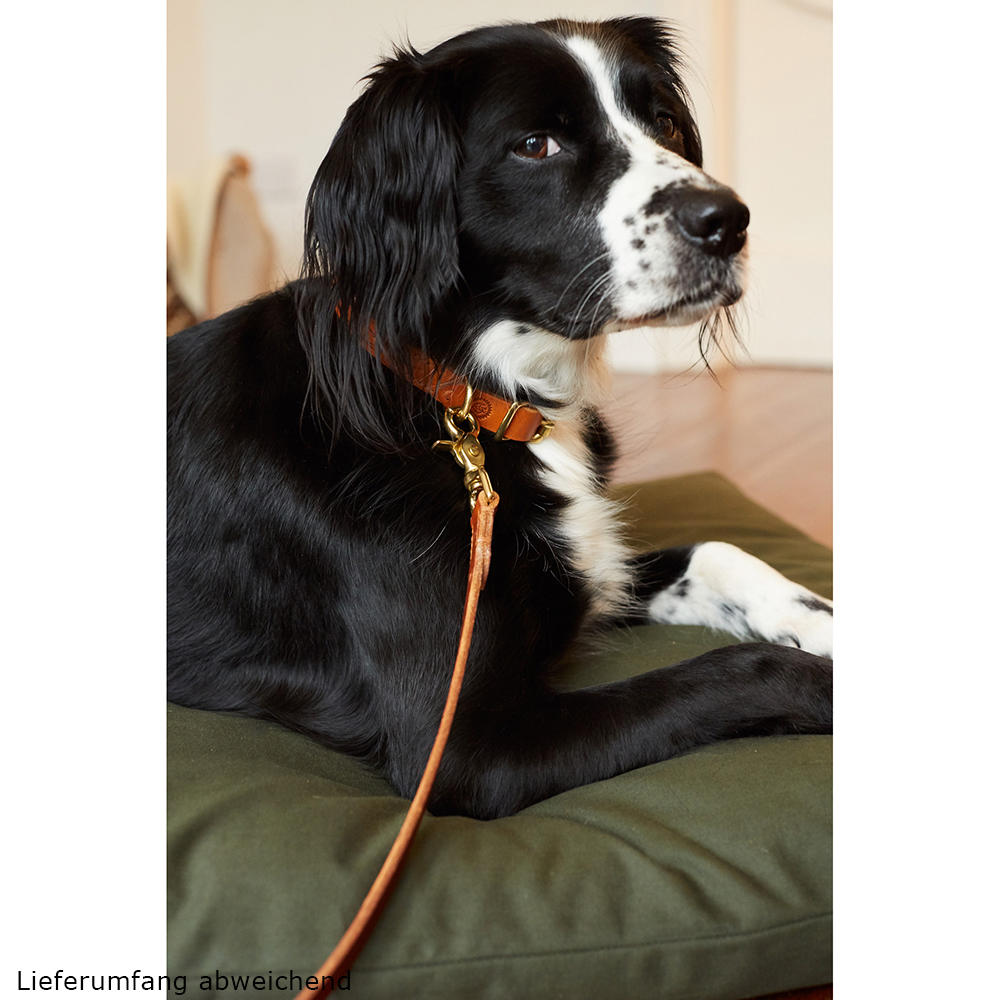 Helen Wells »Classic« Dog Leash, Cognac 80 cm 