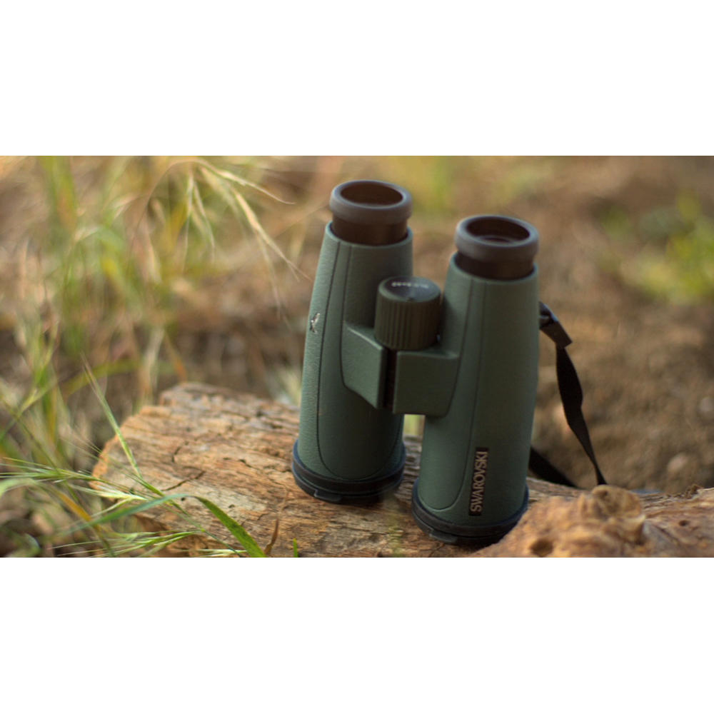 Swarovski Fernglas SLC 10 x 56 W B