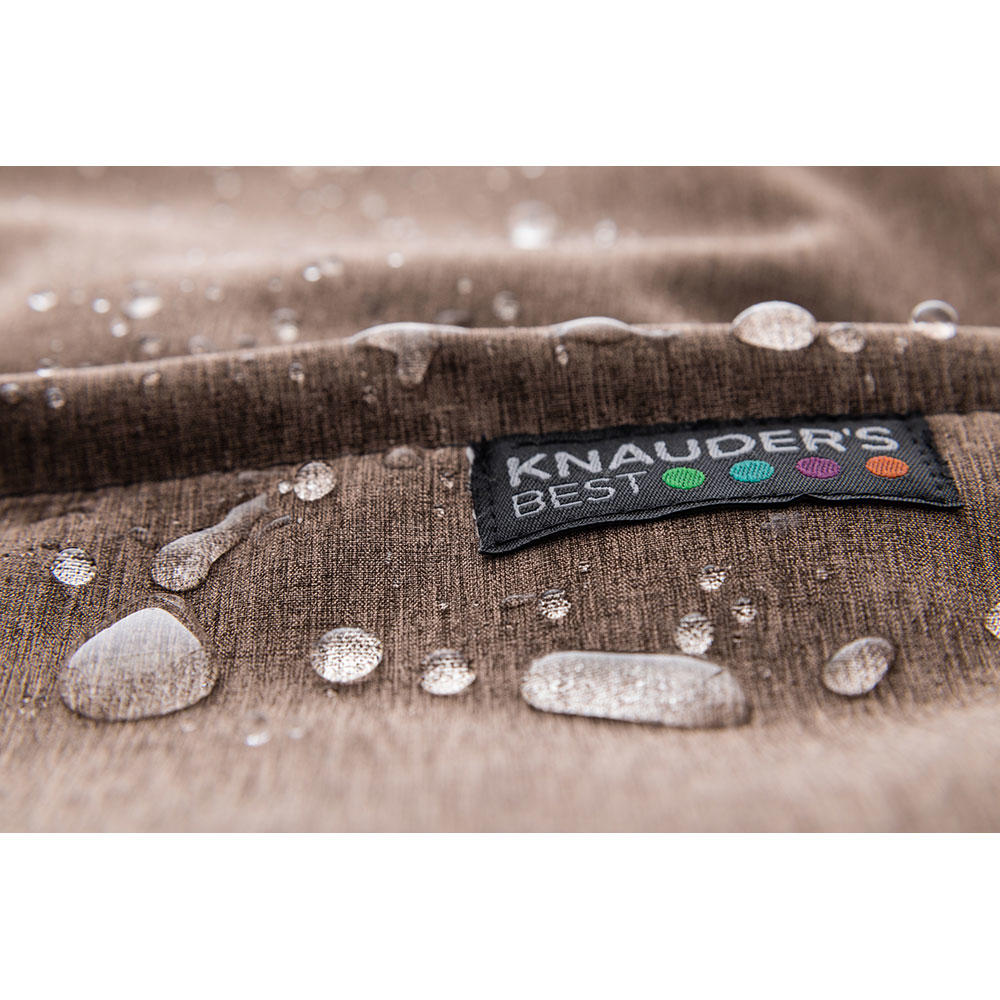 Tapis de transport pour chien Easy Travel Pad, marron