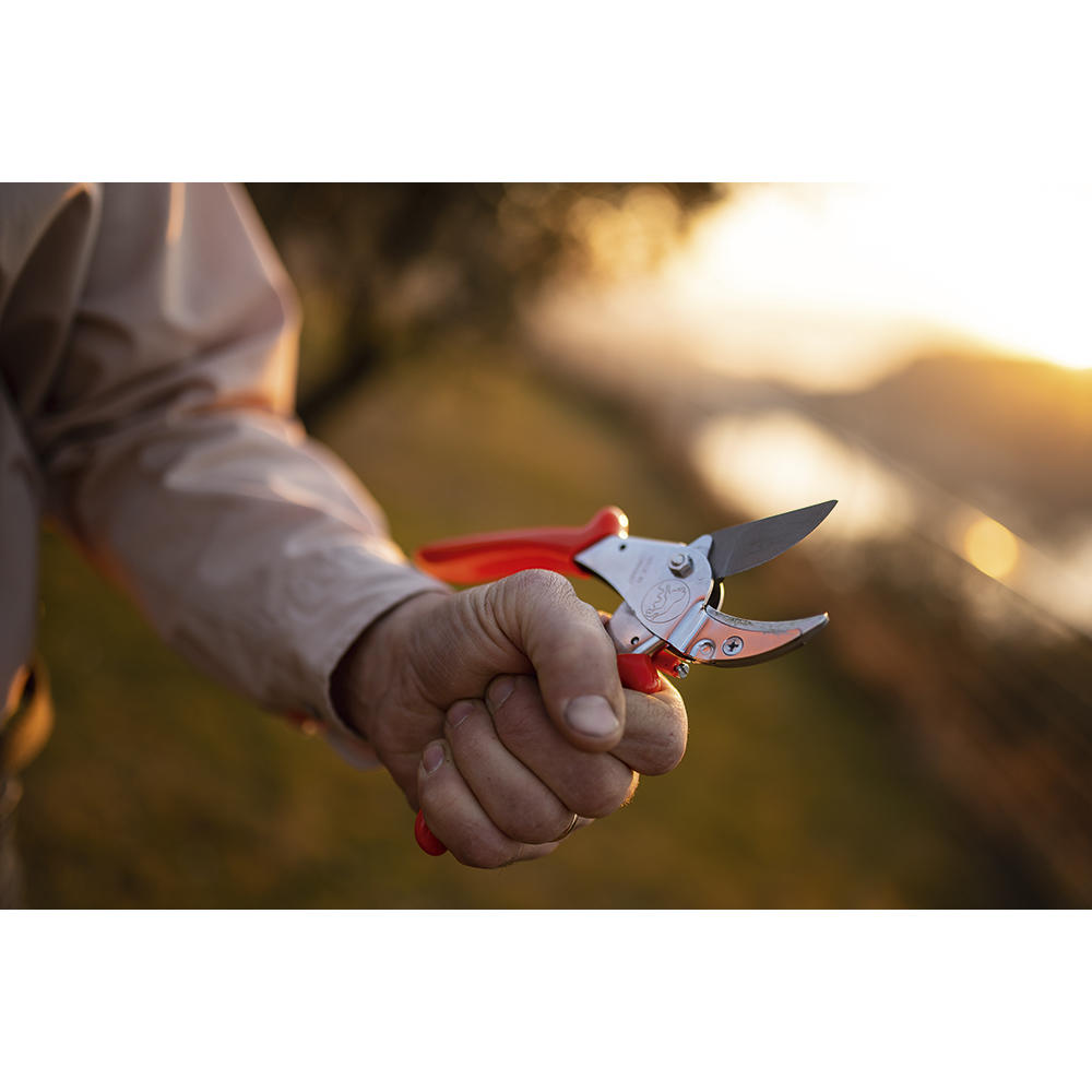 Löwe® 10 Amboss-Schere, mit gebogener Klinge